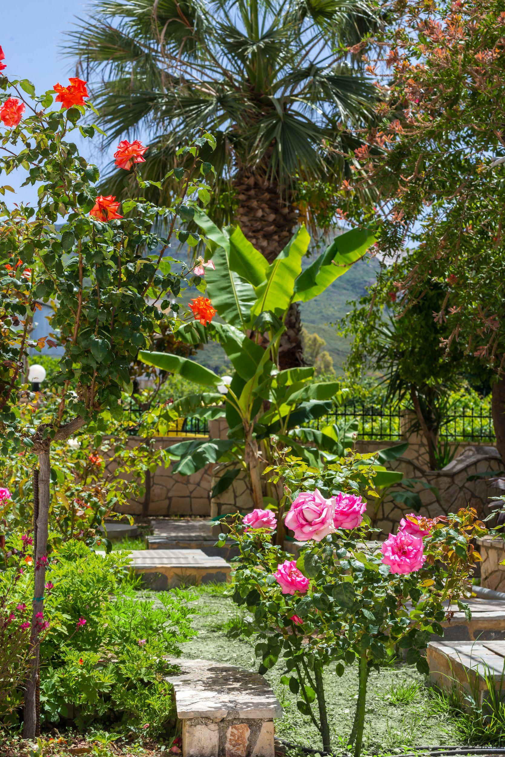 Athina Apartments Zakynthos Buitenkant foto